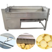 China Potato Washing Peeling Machine