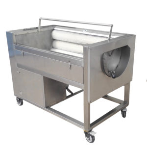 Vegetable Washing Machine