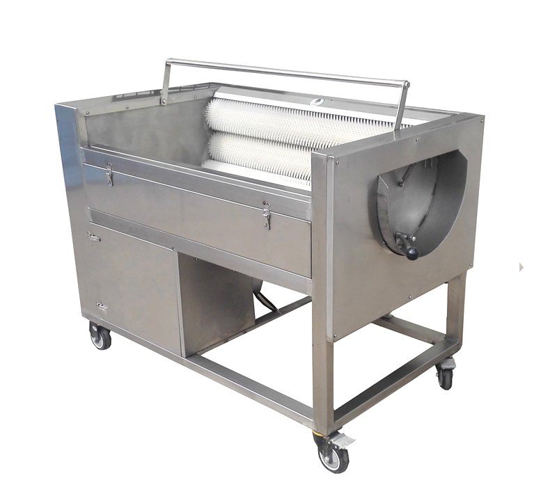 Vegetable Washing Machine