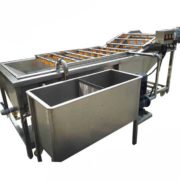 Fruits Vegetable Washing Machine