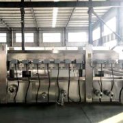 Industrial Continuous Fryer 4