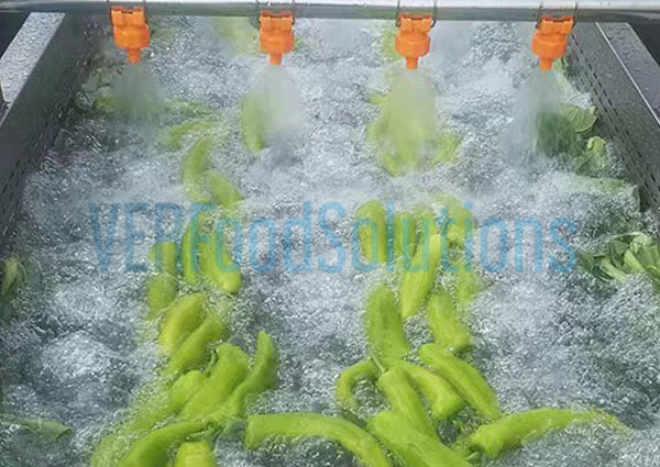 Air Bubble Water Spraying Vegetable Fruit Washing Machine
