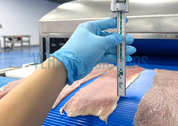 VER horizontal slicer machine cut meat layers 