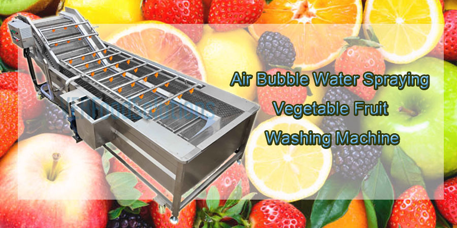 Air Bubble Water Spraying Vegetable Fruit Washing Machine