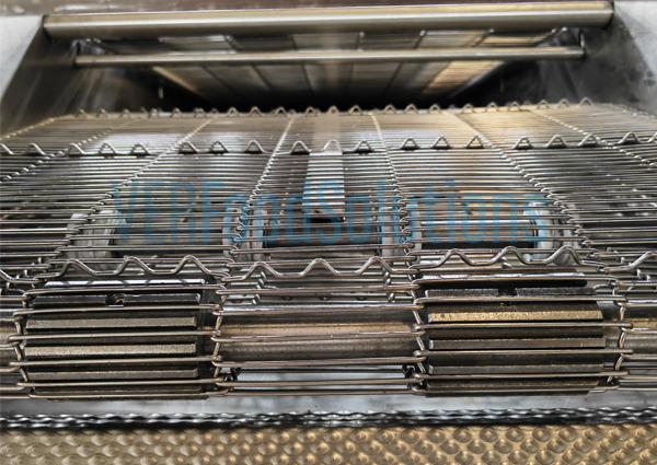 Gas Continuous Fryer