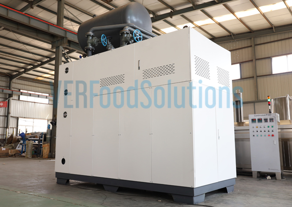 Gas Continuous Fryer