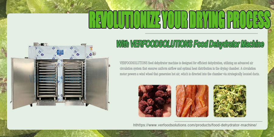 Revolutionize Your Drying Process With VERFOODSOLUTIONS Food Dehydrator Machine