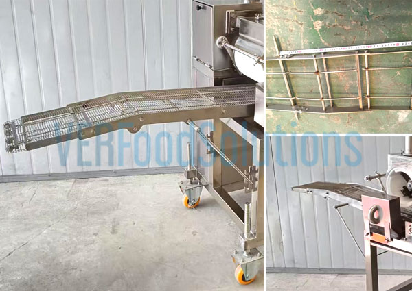 Customized Mesh Belt Solutions