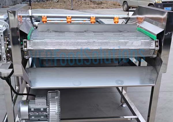 Air Bubble Water Spraying Fruit Vegetable Washing Machine