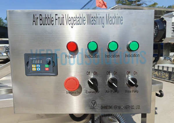 Air Bubble Water Spraying Fruit Vegetable Washing Machine