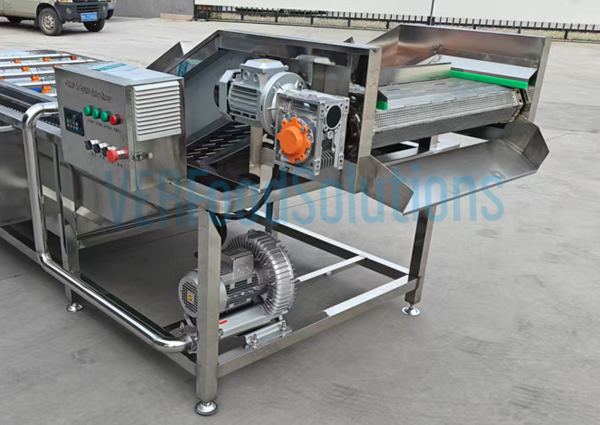 Air Bubble Water Spraying Fruit Vegetable Washing Machine