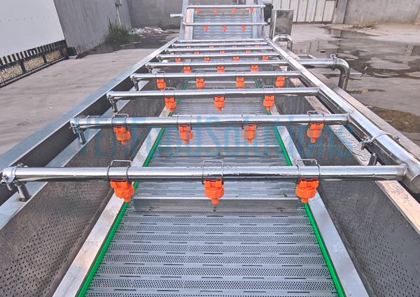 Air Bubble Water Spraying Fruit Vegetable Washing Machine