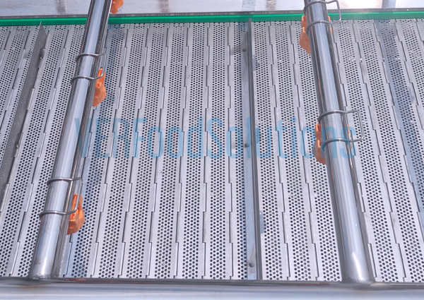 Air Bubble Water Spraying Fruit Vegetable Washing Machine