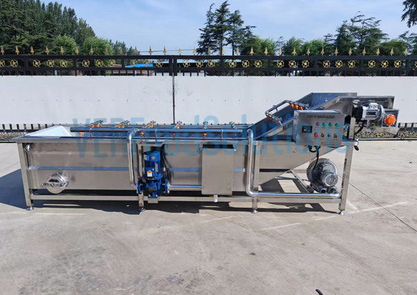 Air Bubble Water Spraying Fruit Vegetable Washing Machine