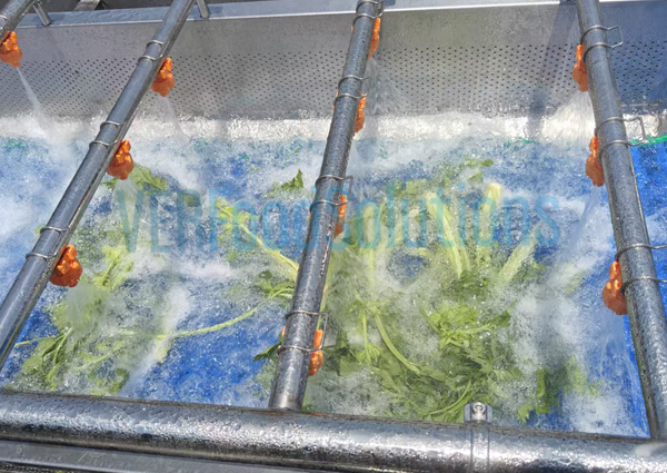 Air Bubble Water Spraying Fruit Vegetable Washing Machine