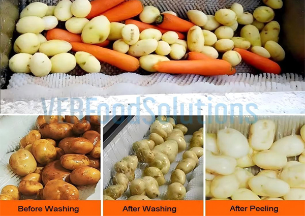 Fruit And Vegetable Washing Machines