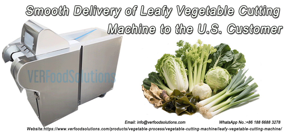 Smooth Delivery of Leafy Vegetable Cutting Machine to the U.S. Customers