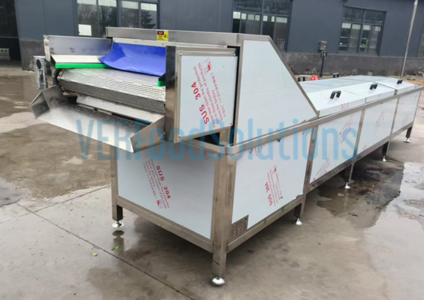 Blanching Machine
