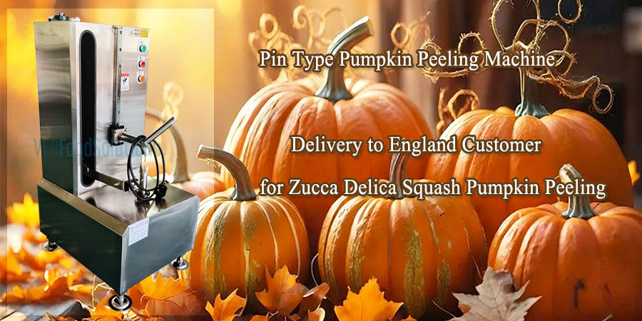 Pin Type Pumpkin Peeling Machine Delivery to England Customer for Zucca Delica Squash Pumpkin Peeling
