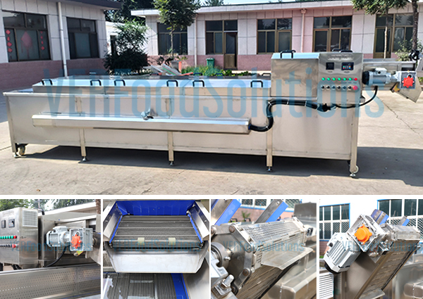 Blanching Pasteurizer Machine