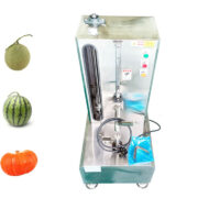pin type pumpkin peeling machine.