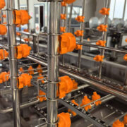 tray washing machine for Sale