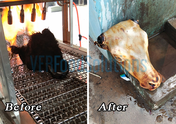 The brush washing machine and gas hair burn machine