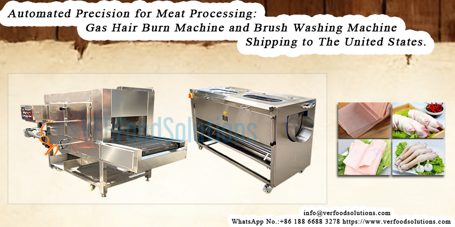 Automated Precision for Meat Processing:Gas hair burn machine and Brush Washing Machine Shipping to The United States.