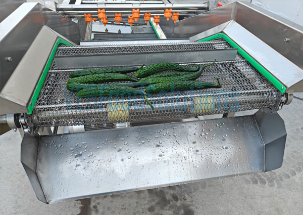 Air Bubble Water Spraying Fruit Vegetable Washing Machine