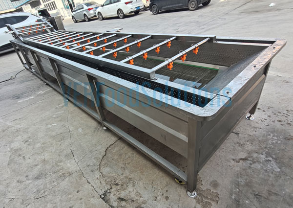 Air Bubble Water Spraying Fruit Vegetable Washing Machine