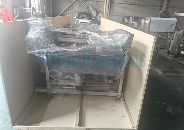 Air Bubble Water Spraying Fruit Vegetable Washing Machine