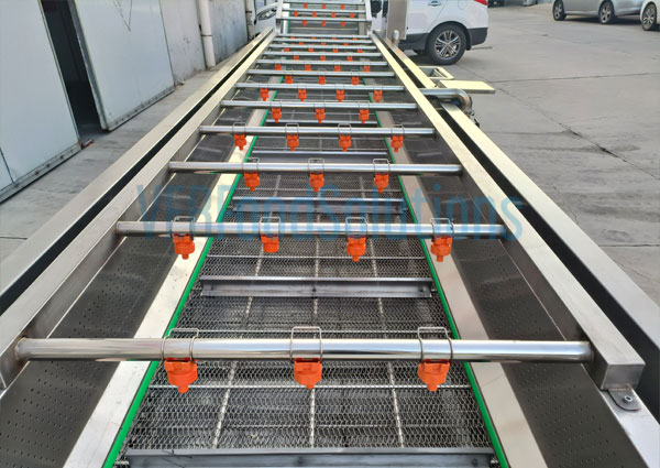 Air Bubble Water Spraying Fruit Vegetable Washing Machine