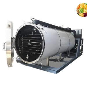 Automatic food freeze dryer