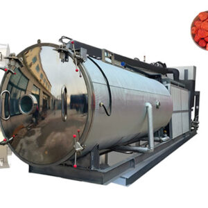 Vacuum Freeze Dryer