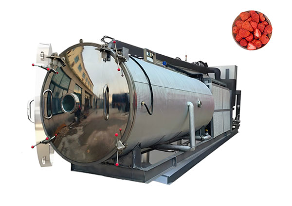 Vacuum Freeze Dryer Machine