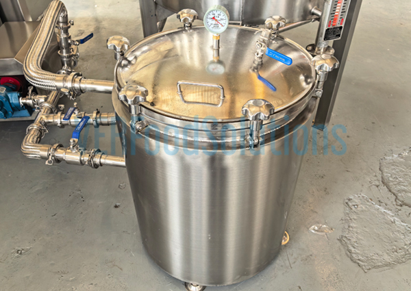 Commercial Continuous Fryer