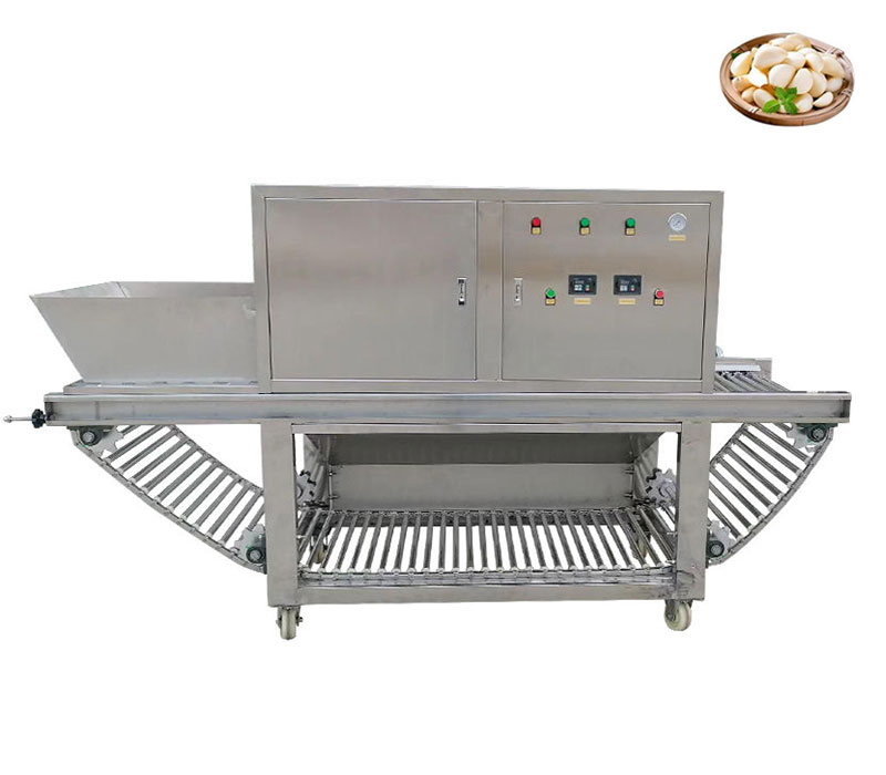 chain-type-garlic-peeling-machine (1)