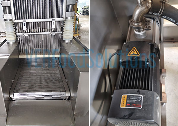 Circulation and Purification System