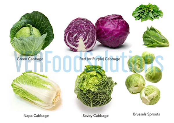 Leafy Vegetable Varieties