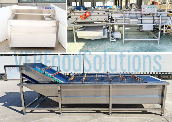 VERFOODSOLUTIONS-How to choose the right leafy vegetable washing machine