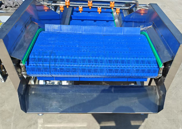 Air Bubble Water Spraying Fruit and Vegetable Washing Machine