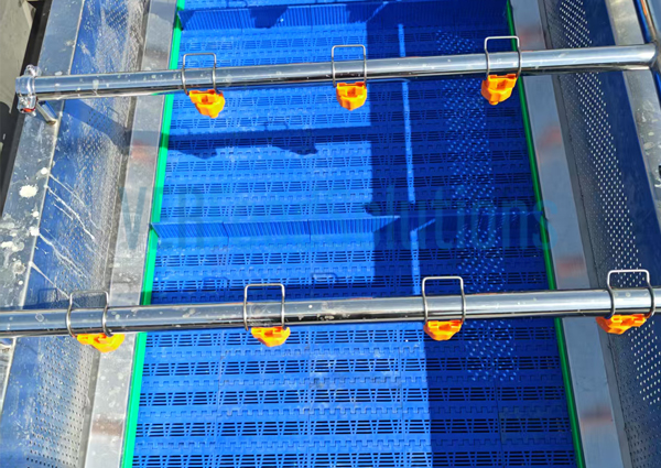Air Bubble Water Spraying Fruit and Vegetable Washing Machine