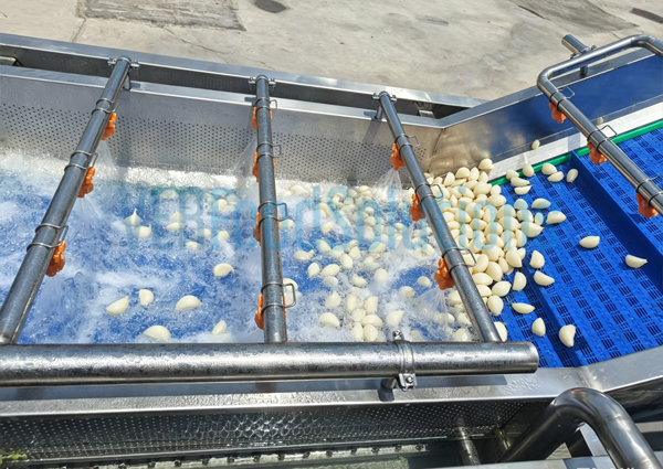 Air Bubble Water Spraying Fruit and Vegetable Washing Machine
