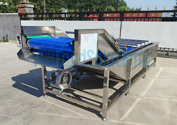 Air Bubble Water Spraying Fruit and Vegetable Washing Machine