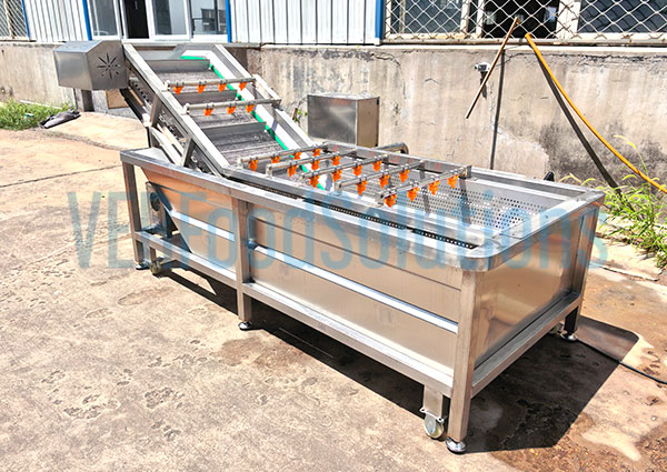 Air Bubble Water Spraying Fruit Vegetable Washing Machine