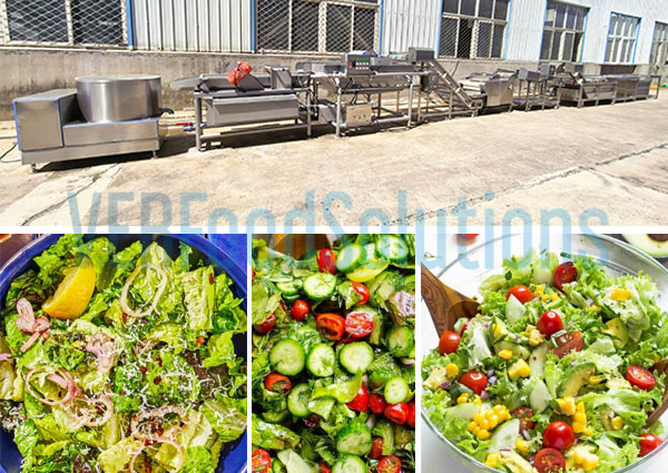 Seamless Lettuce Salad Washing Cutting Drying Line Delivery for Argentine Vegetable Processor