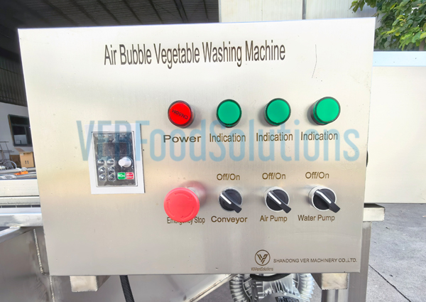Air Bubble Water Spraying Fruit Vegetable Washing Machine