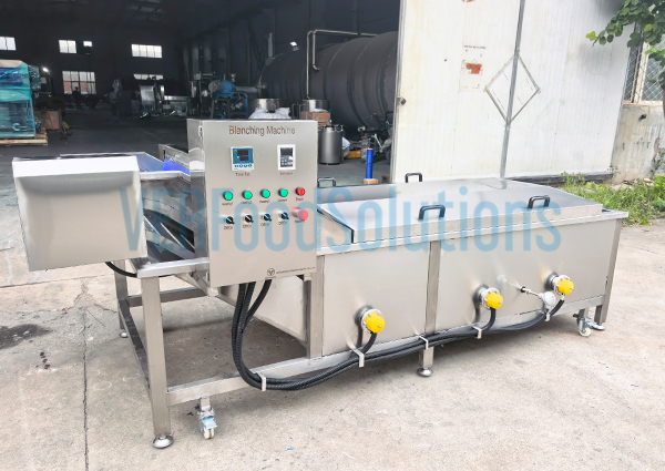 Blanching Machine
