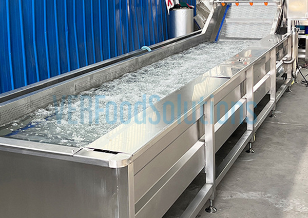 Immersion meat seafood fruit vegetable thawing machine