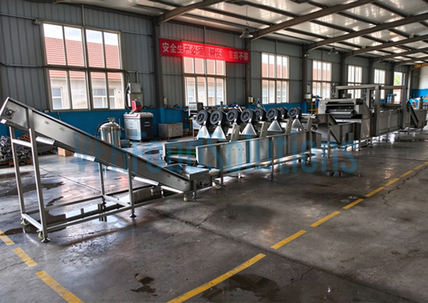 Immersion meat seafood fruit vegetable thawing machine